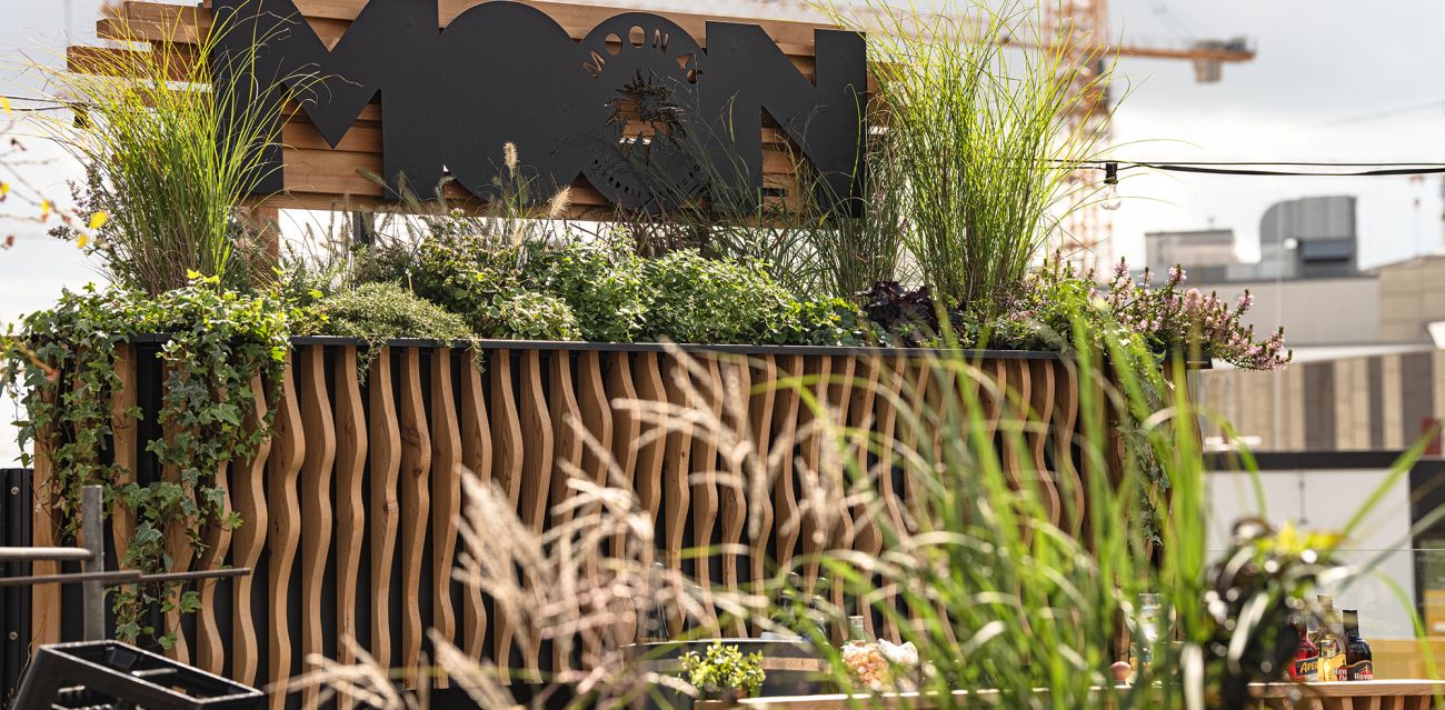 Bar counter MOON 46 with various green plants